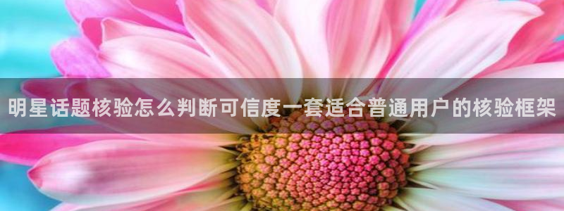 91吃瓜在线入口：明星话题核验怎么判断可信度一套适合普通用户的核验框架