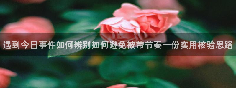 91吃瓜网络热搜：遇到今日事件如何辨别如何避免被带节奏一份实用核验思路