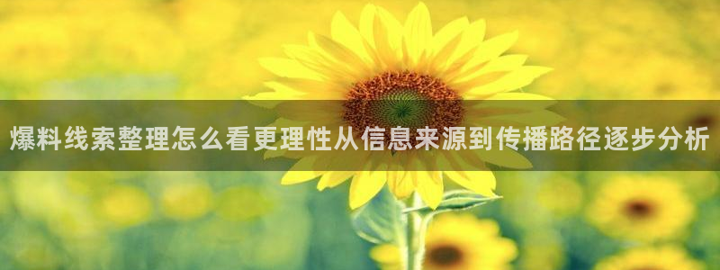 吃瓜网络热点：爆料线索整理怎么看更理性从信息来源到传播路径逐步分析