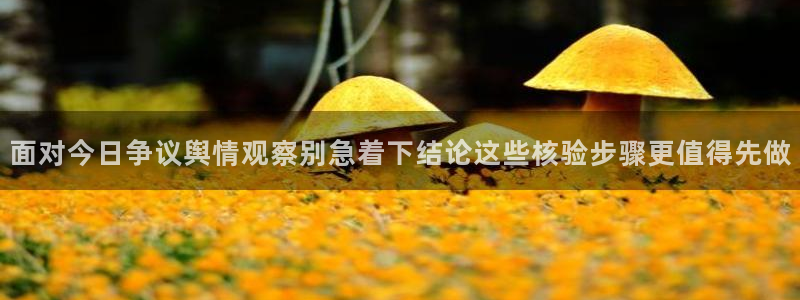 吃瓜今日热点:面对今日争议舆情观察别急着下结论这些核验步骤更值得先做