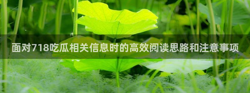 吃瓜网络热点:面对718吃瓜相关信息时的高效阅读思路和注意事项
