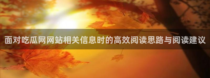 91吃瓜网站入口:面对吃瓜网网站相关信息时的高效阅读思路与阅读建议