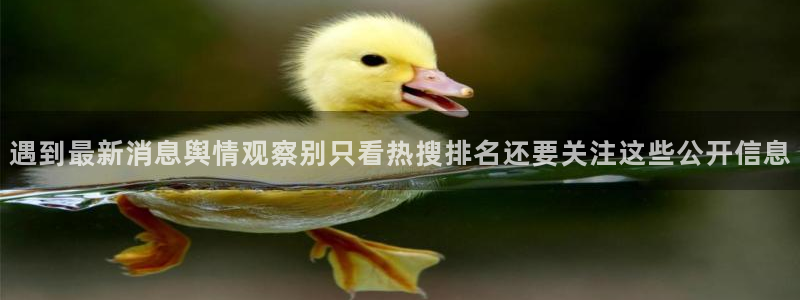 91吃瓜最新事件:遇到最新消息舆情观察别只看热搜排名还要关注这些公开信息