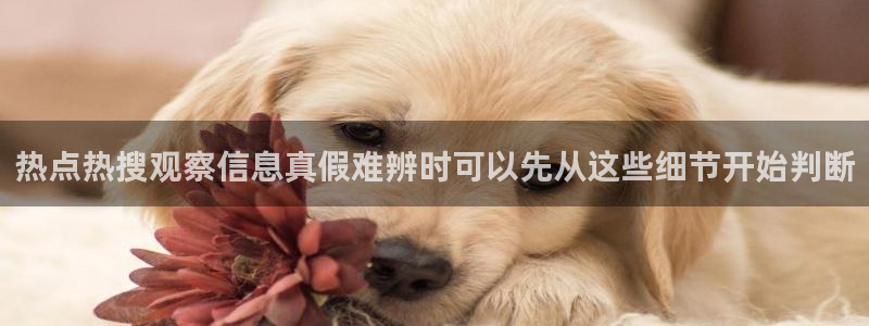 91吃瓜在线观看网页:热点热搜观察信息真假难辨时可以先从这些细节开始判断
