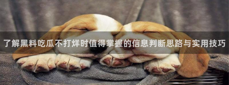 91吃瓜在线观看最新网址入口:了解黑料吃瓜不打烊时值得掌握的信息判断思路与实用技巧