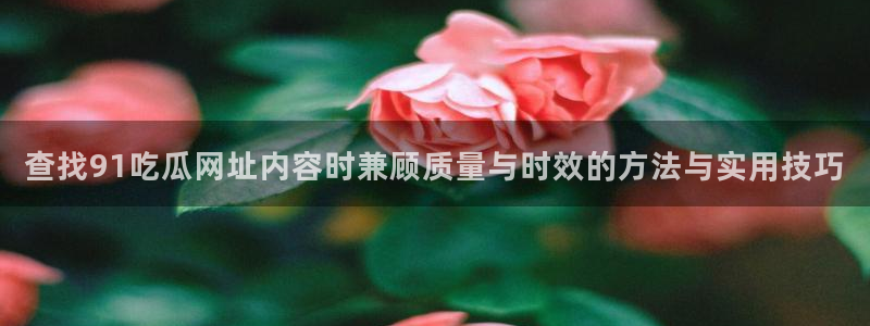 91吃瓜热点动态：查找91吃瓜网址内容时兼顾质量与时效的方法与实用技巧